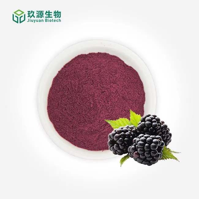 Freeze-Dried Blackberry Powder