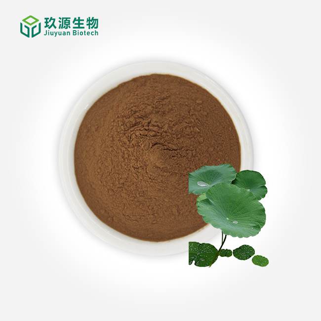 Lotus Leaf Extract Powder